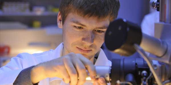 600 300 20081211 Naturwissenschaften 0118 (Felix Schumann)