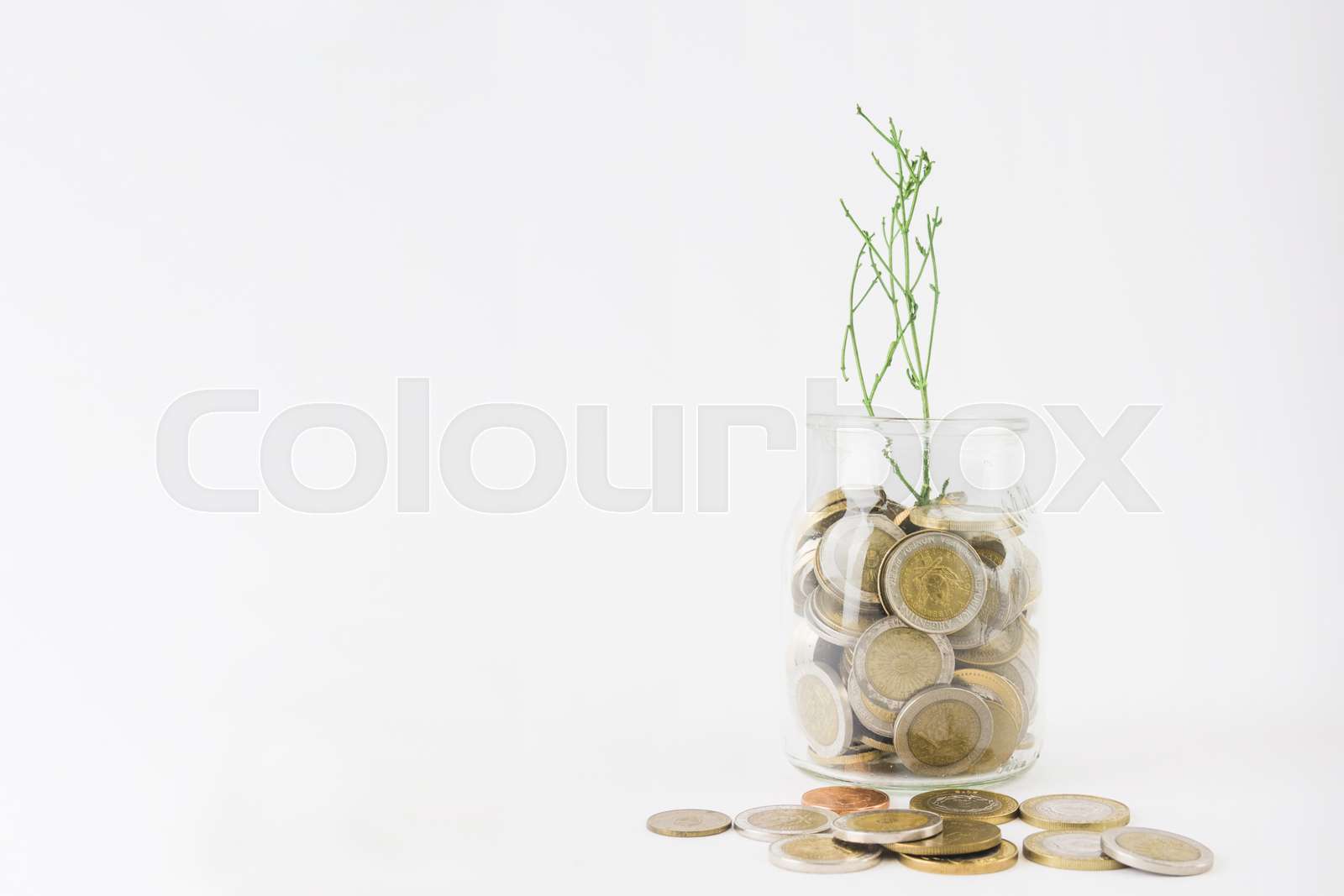 Finanzierung