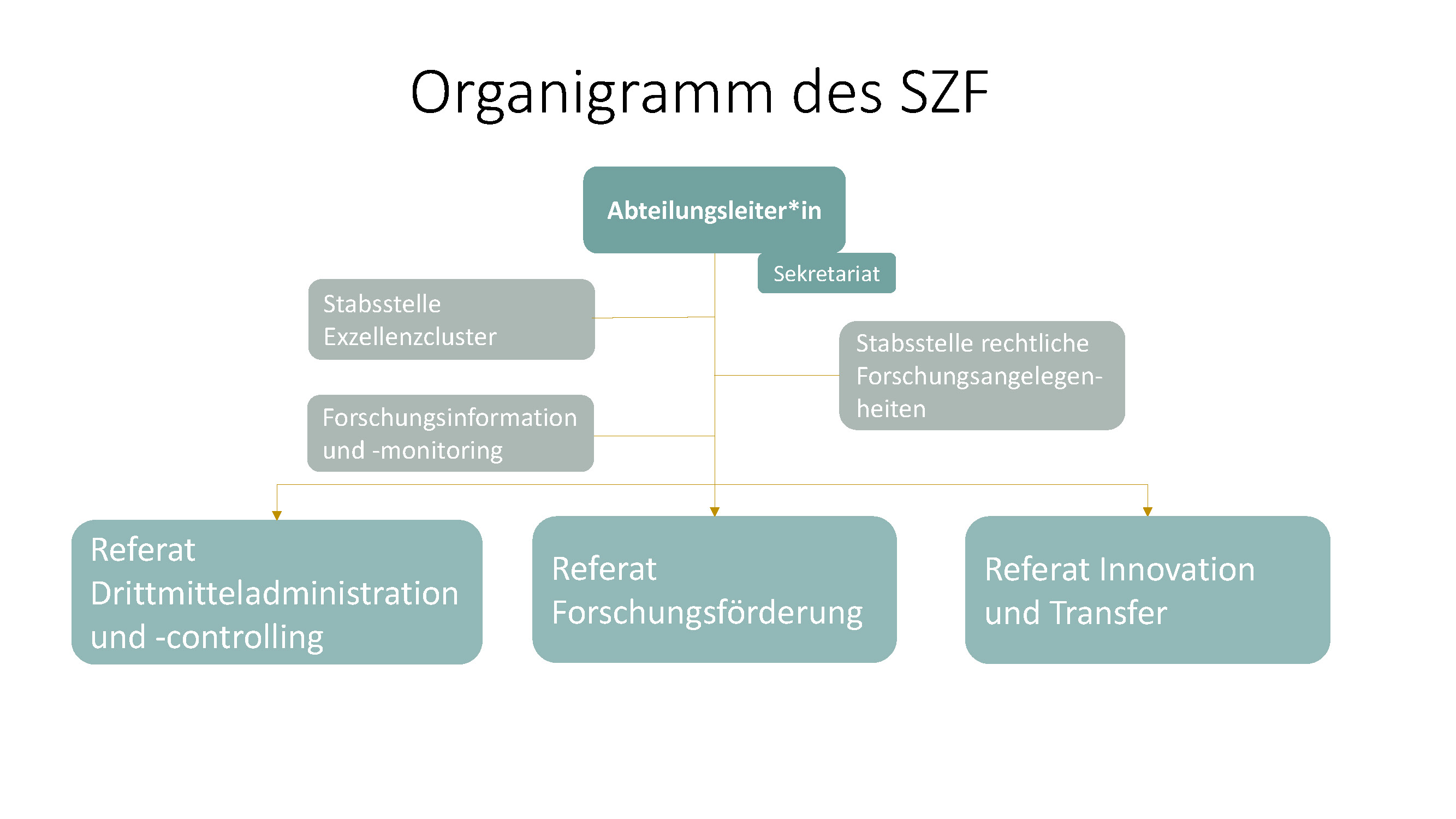 20221006_Organigramm SZF_NEW.jpg