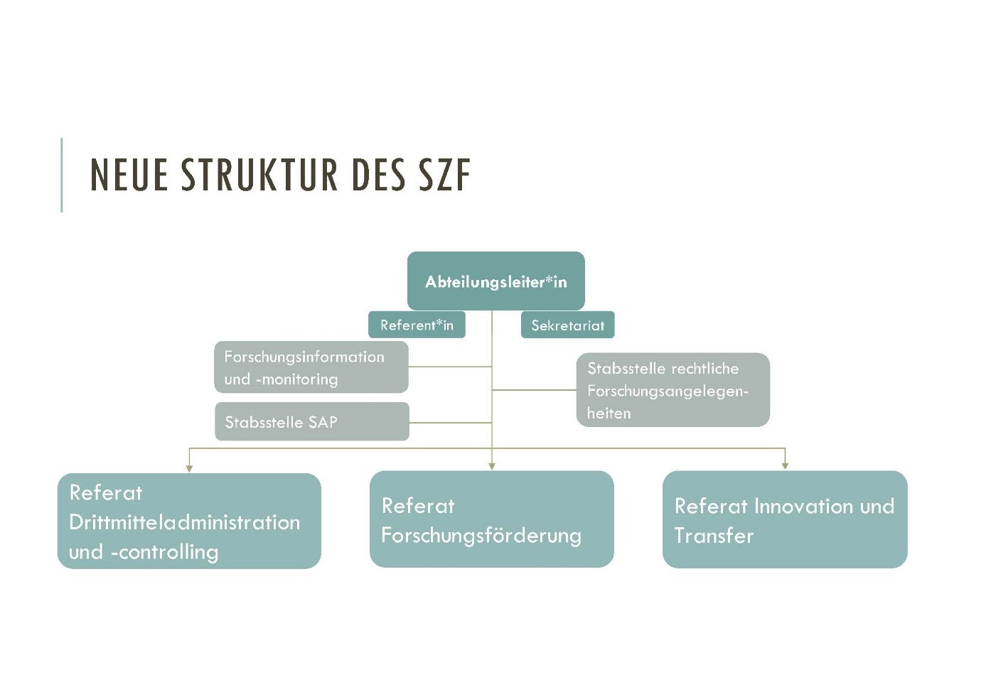 SZF_Org.jpg