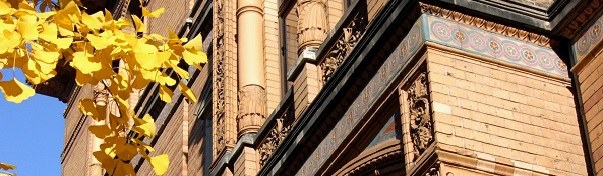 2011.jpg