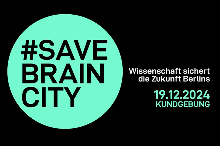 hu_info_savebraincIty_grafik.jpg