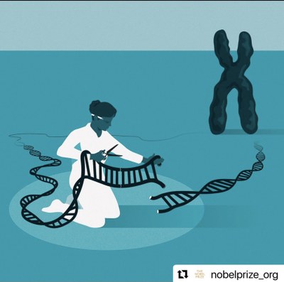 Grafik zur CRISPR Methode vom nobelprize.org
