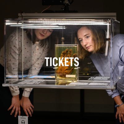 Im Vordergrund steht „Tickets". Dahinter sieht man zwei Besucher:innen, wie sie in eine Vitrine schauen.