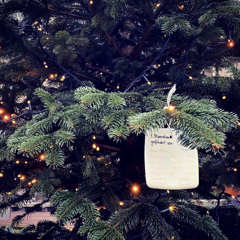 Humboldt-Stipendium Spendenbaum