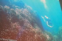 Unter Wasser