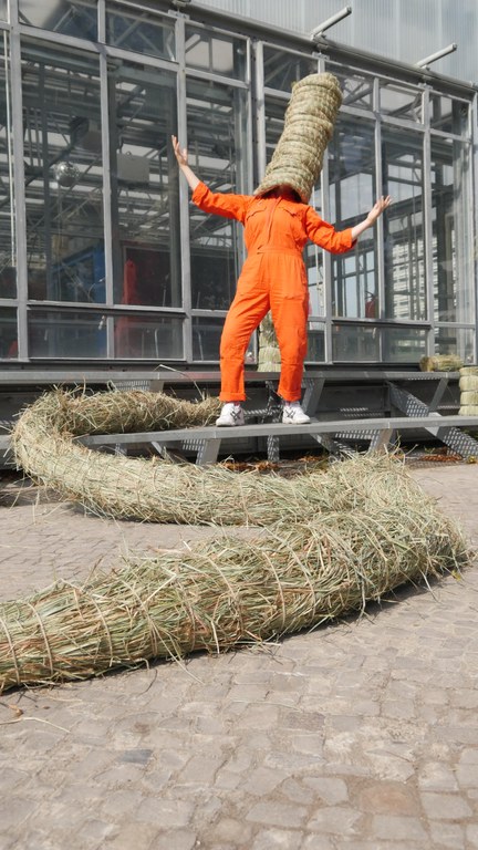 Die Ausstellung „Swamp Things!“