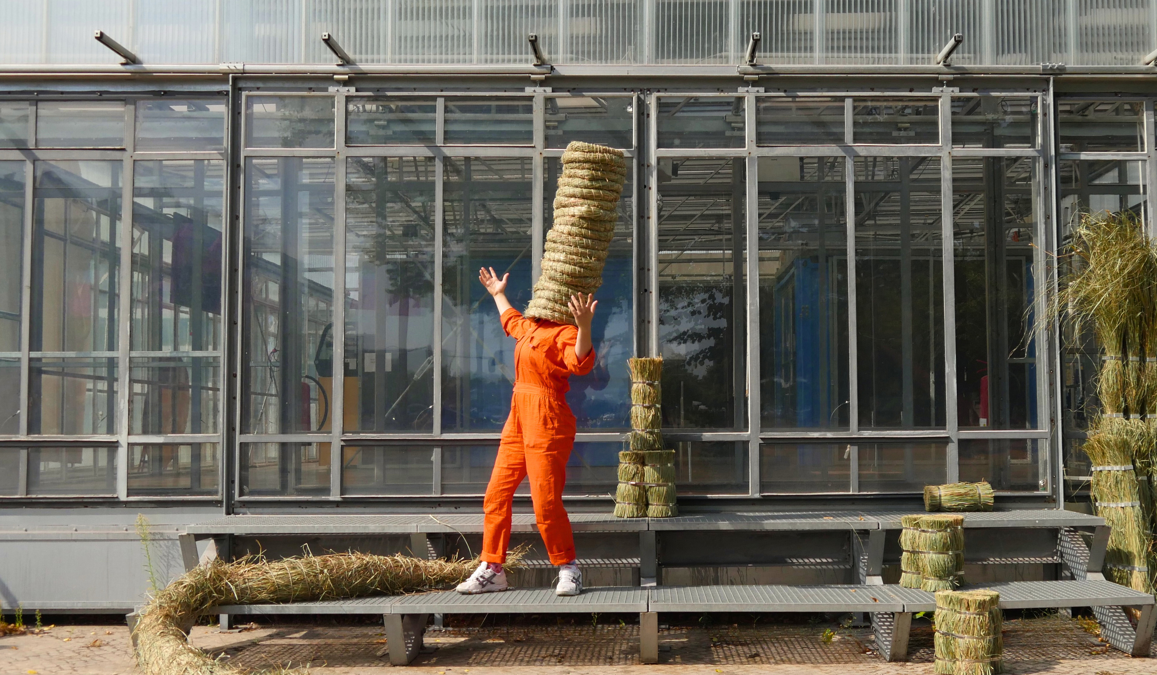 Ausstellung Swamp Things! The Liveliness of Peatland Plants