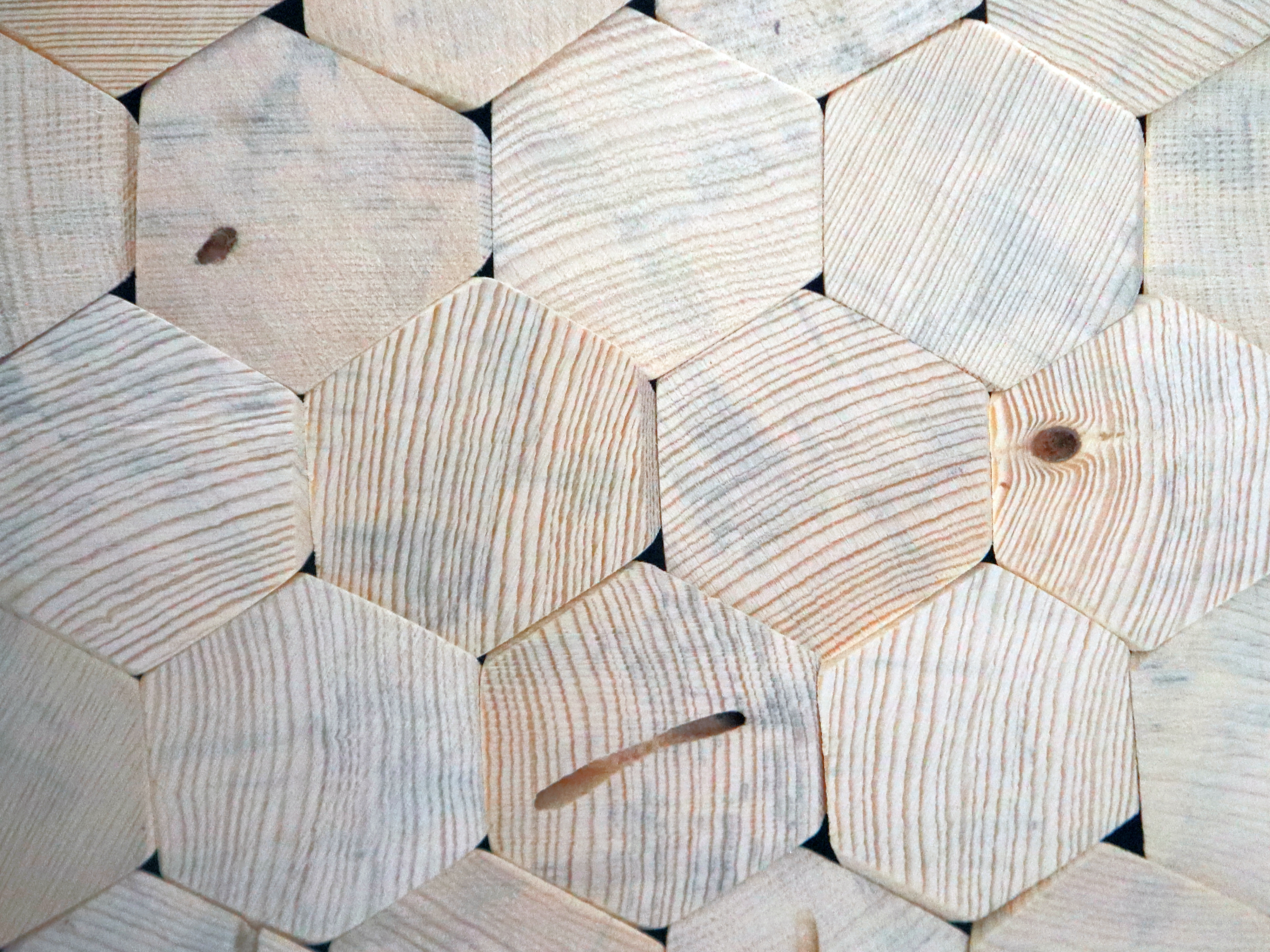 Die Ausstellung „Symbiotic Wood“