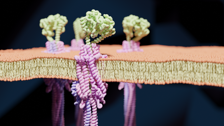 Bollwerk im Kampf gegen Viren – neues bakterielles Immunsystem entschlüsselt