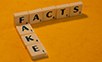 Scribble Steine mit dem Text Facts und diagonal Fake