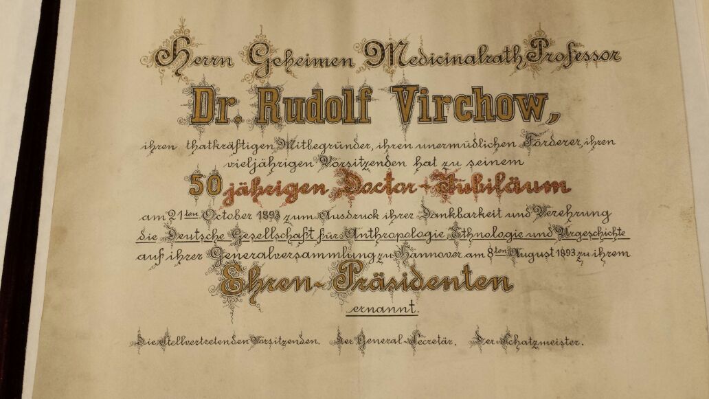 Virchow Urkunde