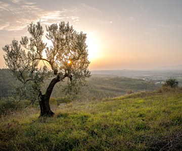 Trockene Landschaft