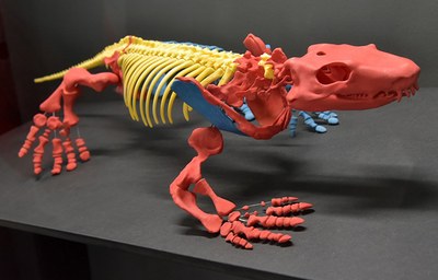 Orobates