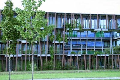 Institut für Physik der HU
