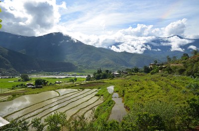 Punakha Valley 
