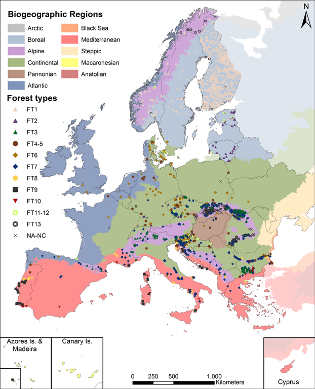 Fig1 ForestTypes Macaronesia v3 low