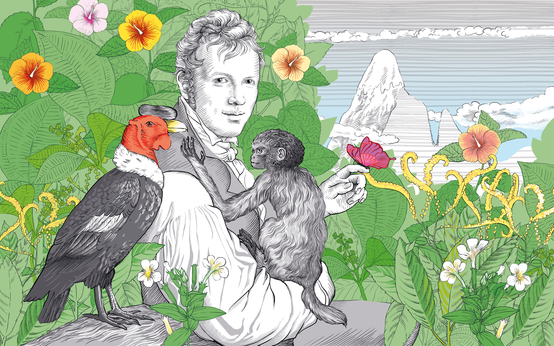 Alexander von Humboldt 1920 1200 Xenia Fink