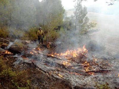 1. August 2014. Man lässt einen Brand infolge von Blitzeinschlag unter kontrollierten Bedingungen brennen.