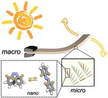 Solar actuator sketch Direkte Umwandlung von Sonnenlicht in Bewegung durch Organisation lichtempfindlicher Moleküle