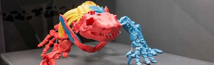 3D Druck rekonstruiertes Skelett Felix Sattler