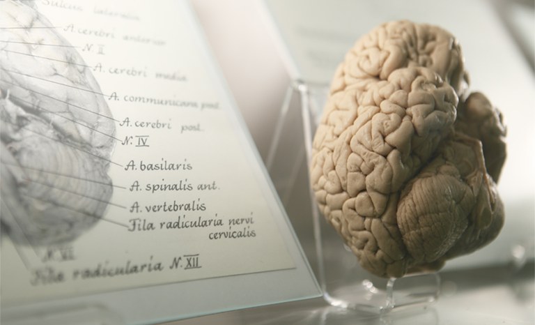 20100517 mind and brain neu Foto Matthias Heyde HU Berlin 4 800