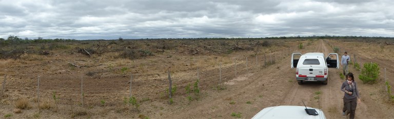 Gerodete Fläche im Argentinischen Chaco