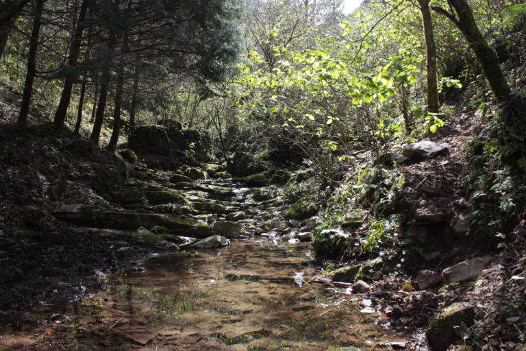 Flussbett nahe der Mine. Bild Karen de la Torre 2017