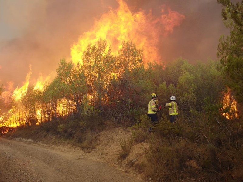 Waldbrand