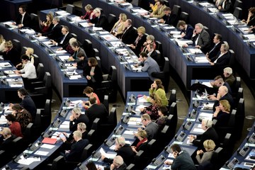 Abgeordnete im Parlament der Europäischen Union