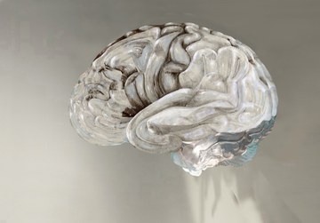 1 Abbildung eines menschlichen Gehirns bei der virtuellen Ausstellung "transCerebral" der Künstlerin Juliet Vles