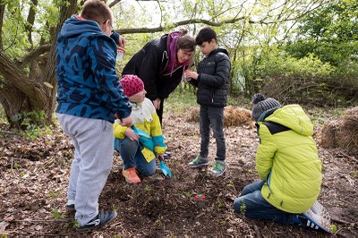 Grüne Workcamps auf der IGA Berlin