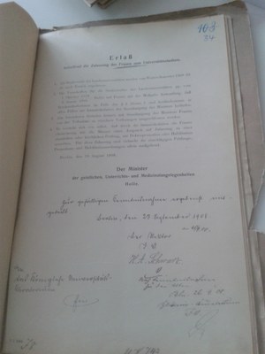Modell eines menschlichen Gehirns