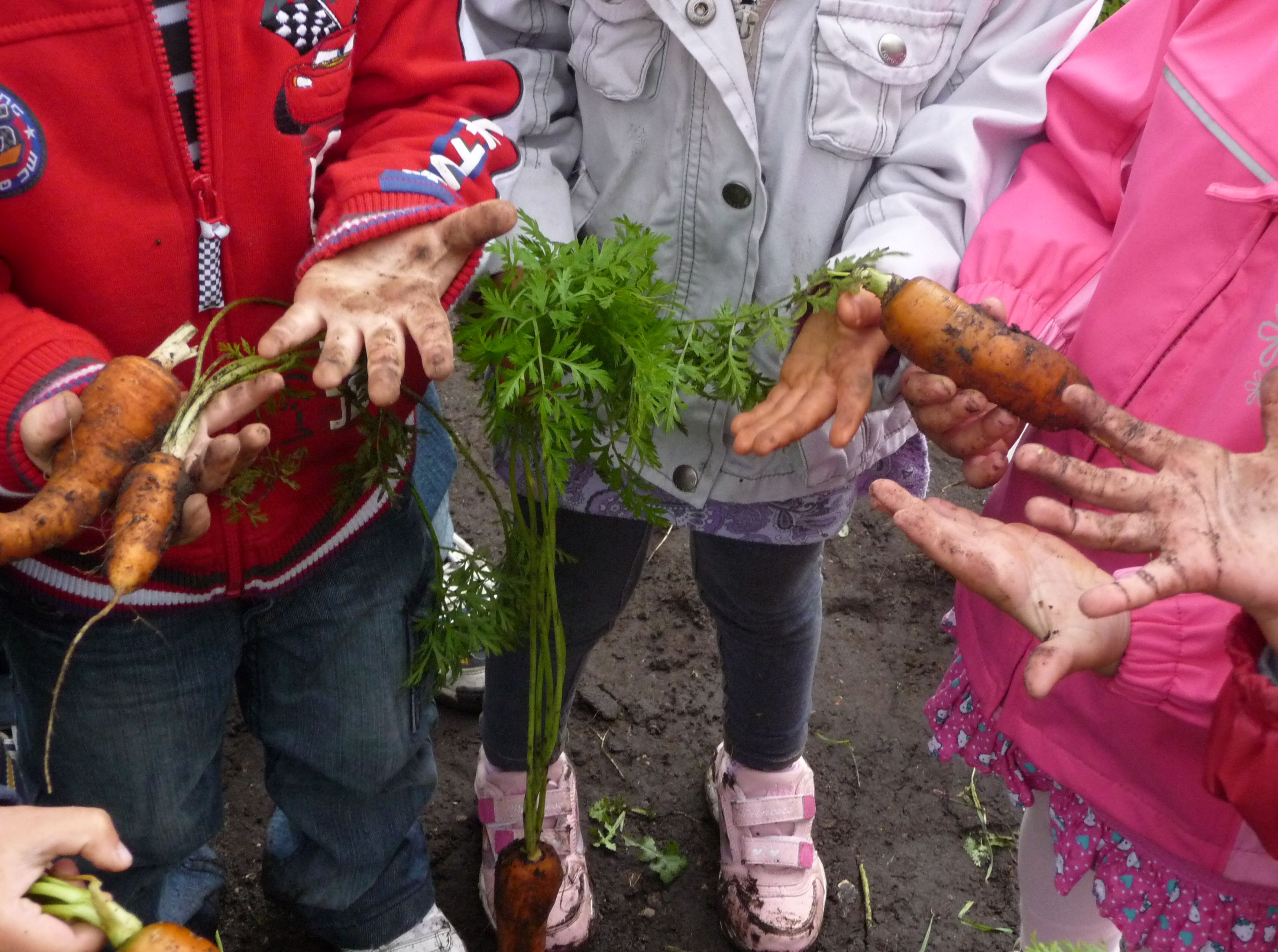 Foto UrbanGardening EdiCitNet Foto ClaudiaLenkereit