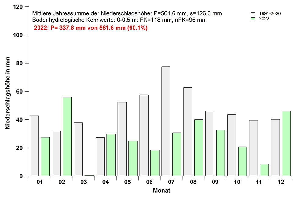 Niederschlagshöhe 2022.jpg