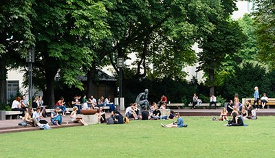 Studierende sitzen auf der Wiese