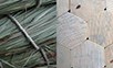 Photos of Detail coiled structure, käferbefallenes Fichtenholz