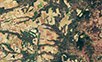 Satellitenbild einer Agrarlandschaft