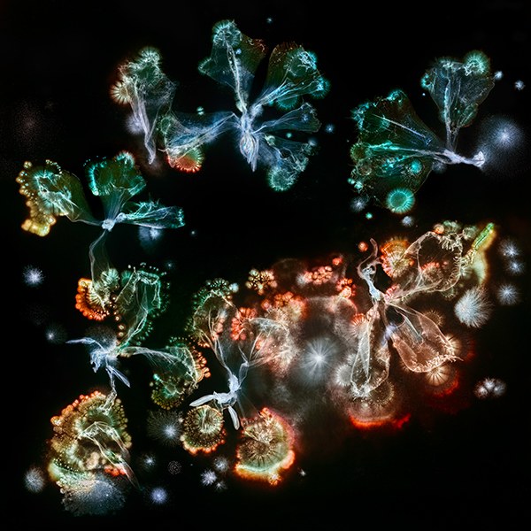 web_MV_III_3_30cm_300dpi.jpg