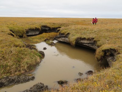Tauen von eisreichem Permafrost durch Thermokarst-Prozesse auf der Insel Kurungnakh im Lena Delta