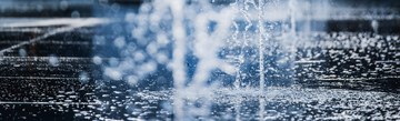 Fokus Wasser