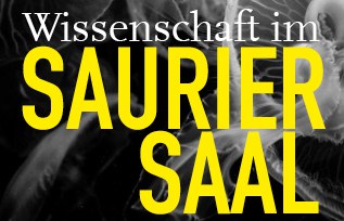 WiS_Web Kachel_Qualle_neuer.jpg