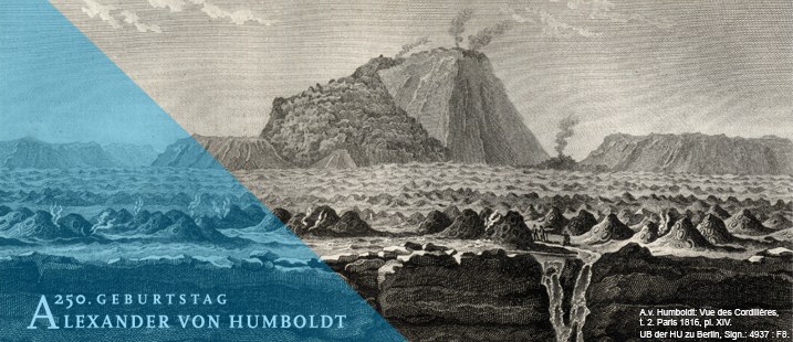 Grafik AVH Schrift