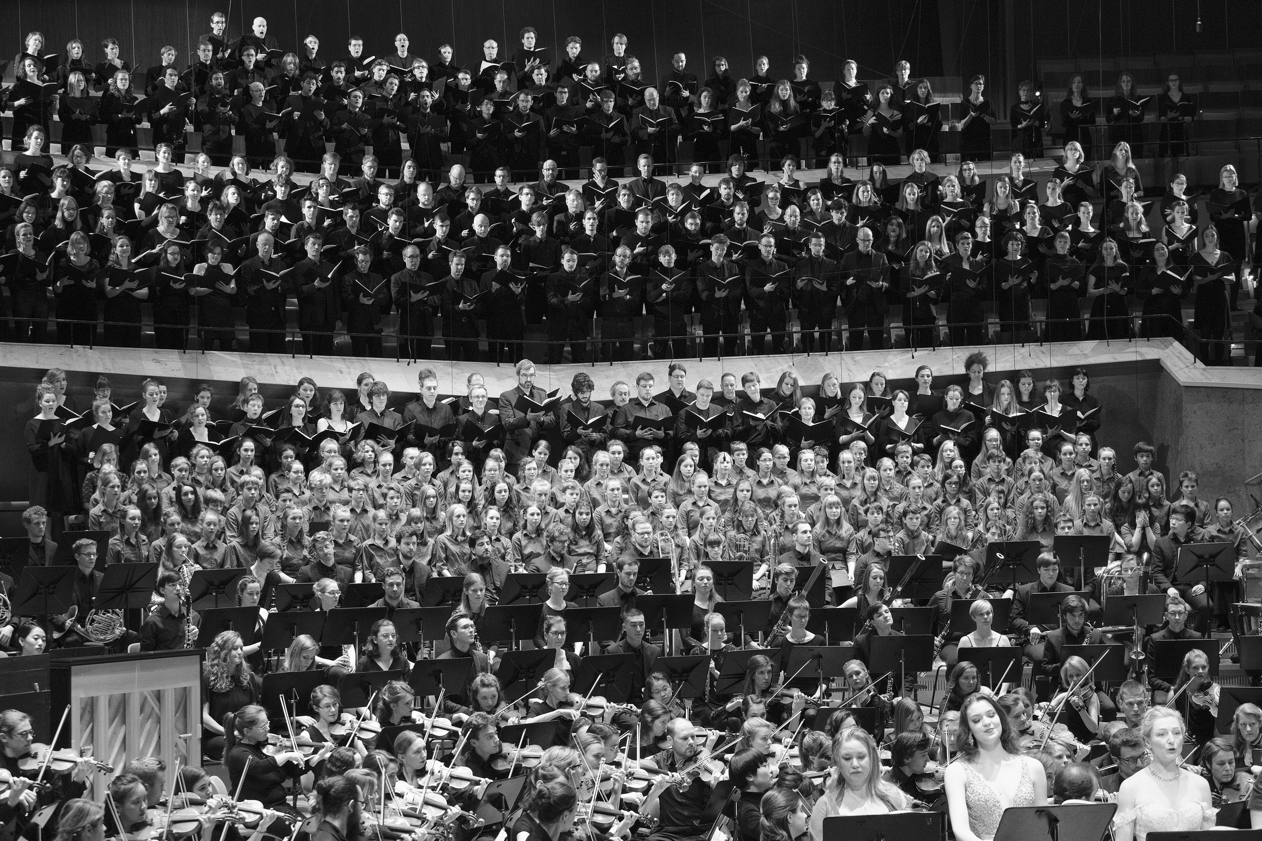 hu19 mahler8 DSF2196