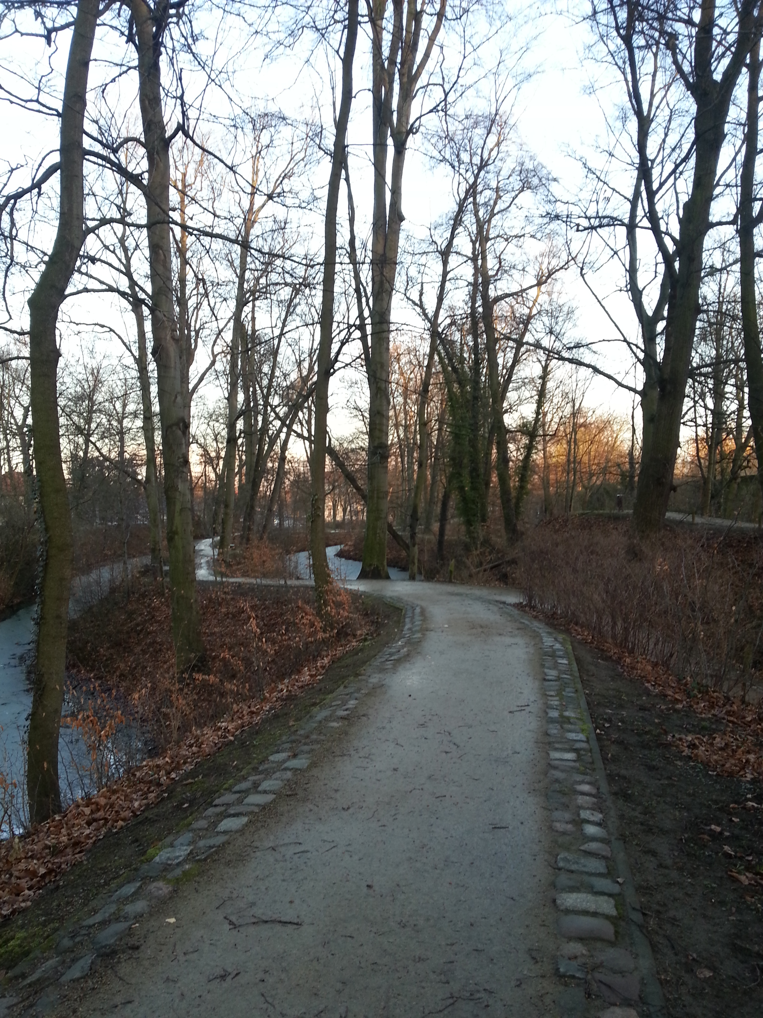 2014-02-16 16.50.36.jpg