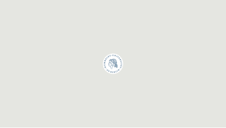 Destop_HU-Hintergrund II_1.png
