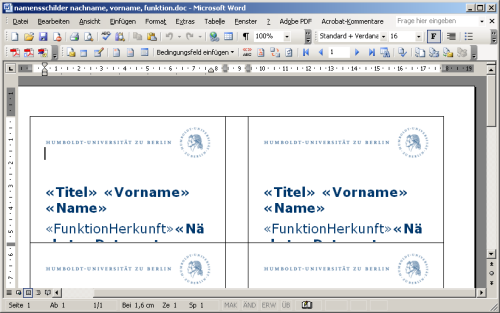 Ansicht des geöffneten Word-Dokuments
