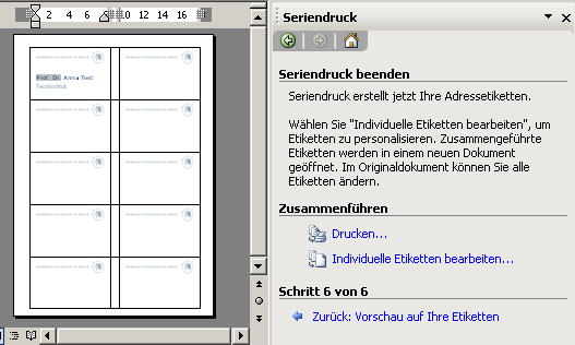 Druckauswahl in Word