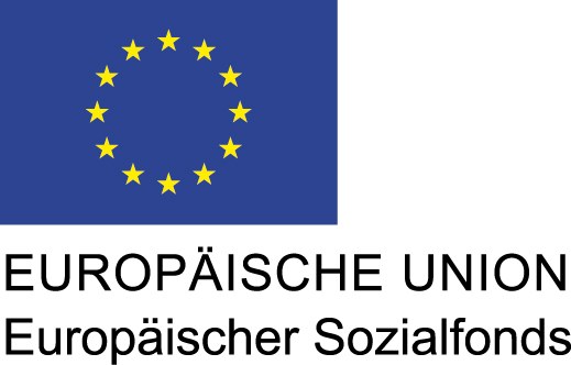 EU Logo