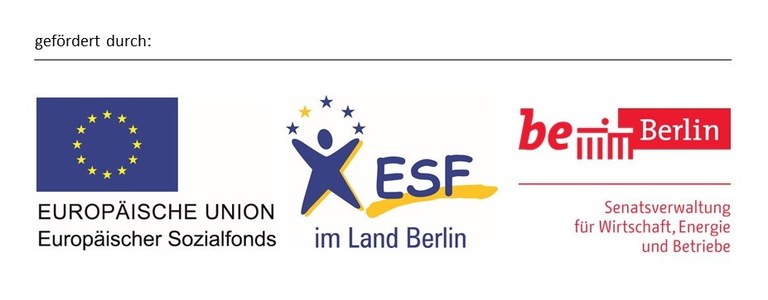 Logoleiste ESF 5 Mittelgeber